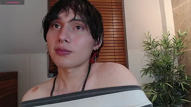Brunodeluca_n Webbikameraesitys