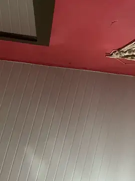 pimenta_gaby Adlı Modelin Canlı XXX Sohbeti