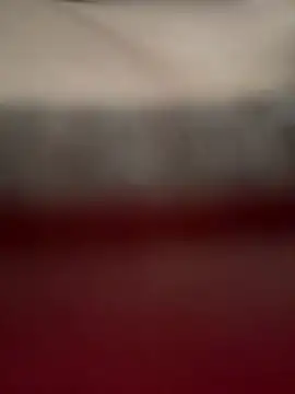pawmistry Live XXX-Chat