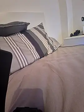 TirelessLot3 Show in webcam