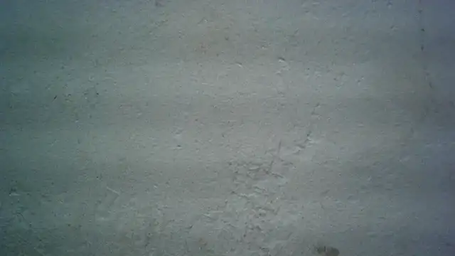 michel1520 webcam show