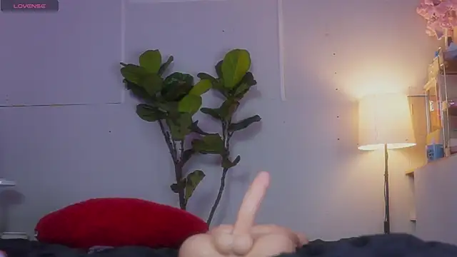 laybunny1 Pertunjukan Webcam