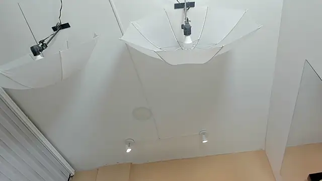 Taylor_Royal_ Chat XXX live