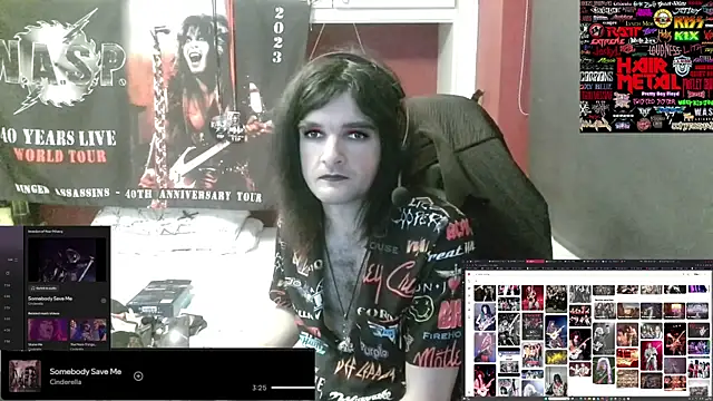 عرض كام Rocker_Assassin_WASP_FAN