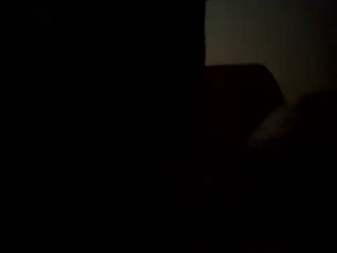 Feistysausagen Webbikameraesitys