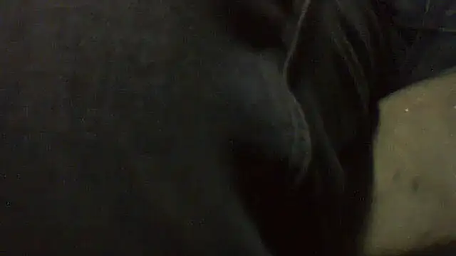 pietje1991 Webcam Show