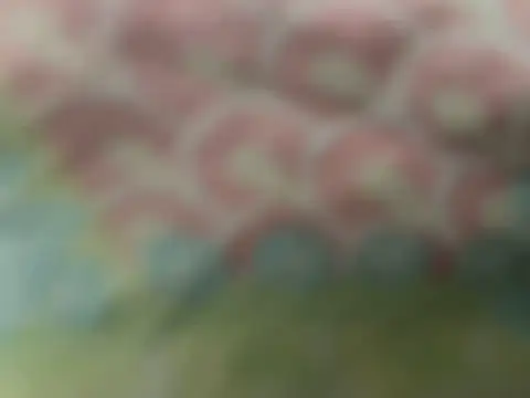 JeyErre0 webcam show