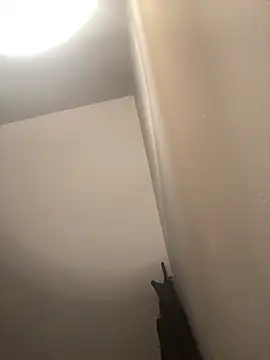 Holly_velvett 라이브 XXX 채팅