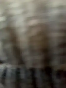 Carammelstorm's Live XXX Chat