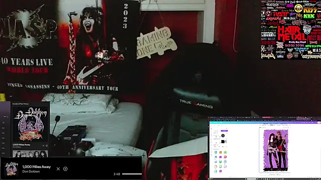 Rocker_Assassin_WASP_FAN 网络视讯表演