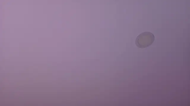 imrose_mar1423's Live Chat Room