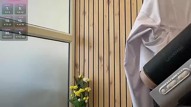 SirControlsYou Pertunjukan Webcam