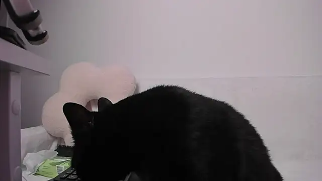 DanaCandy 现场XXX聊天