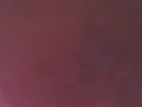 zoetits – Live XXX-chat