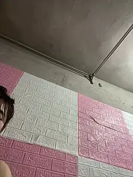kyoto-to 网络视讯表演