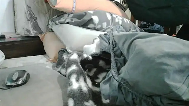 Chat XXX ao vivo de messi_syssy