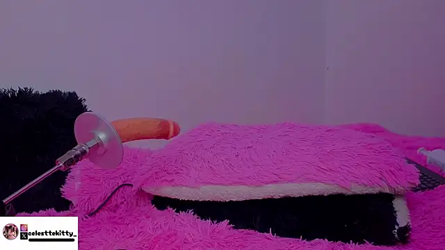 celestte_evans_1 라이브 XXX 채팅