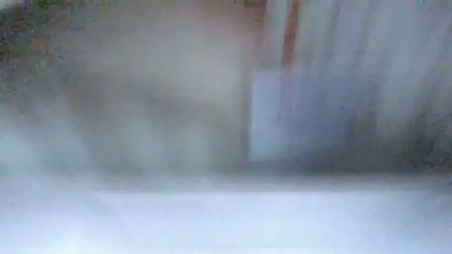 SQUIRRRTER 在線直播表演