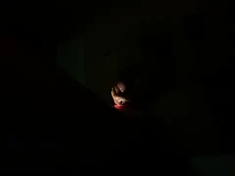 daddydonkey84's Webcam Show