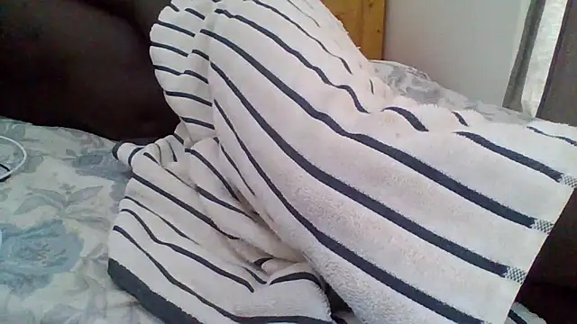 Show webcam de demo2004