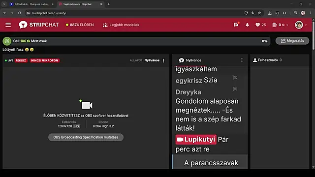 Lupikutyi webcam show