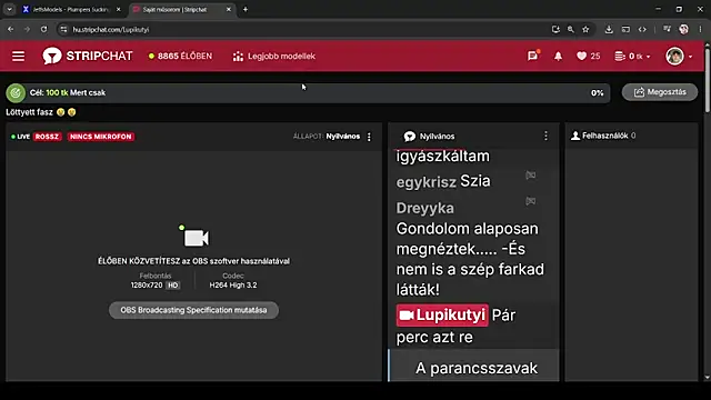 Lupikutyi webkamerás műsora