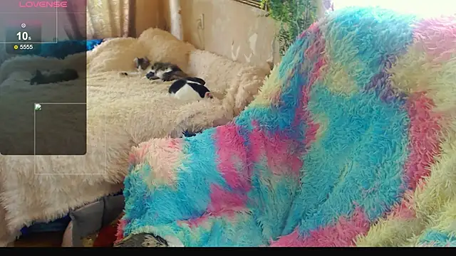 FlirtatiousMegan's Webcam Show