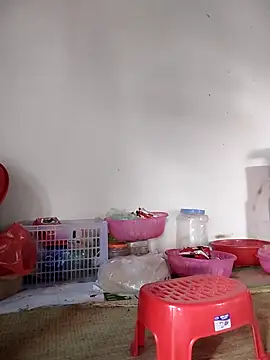 -Tara-an Live XXX chat