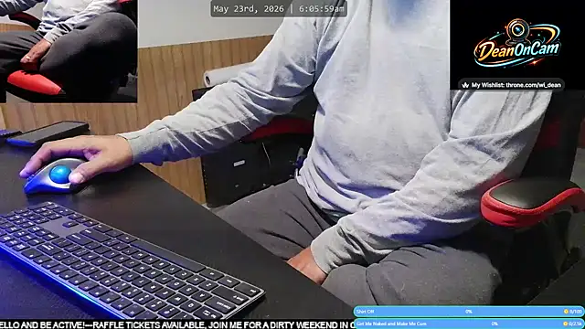 Show webcam de DeanonCam