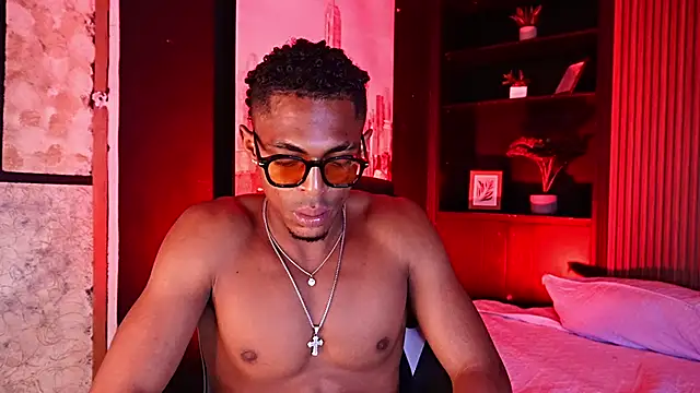 timosX_ Show Webcam