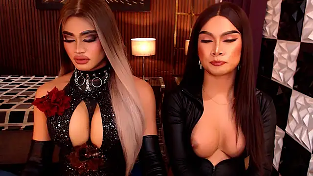 StellaPerkins 라이브 XXX 채팅