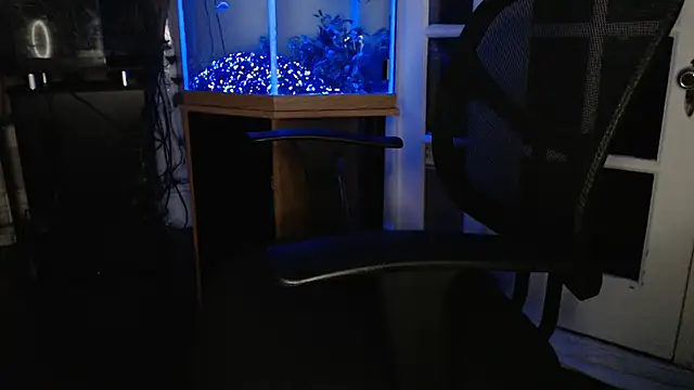 Show Webcam de EspanolVato