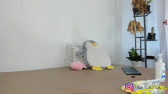 Chat +18 de Mia-Valeria- ao vivo