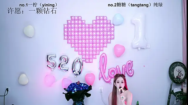 CCTW-100 Show Webcam