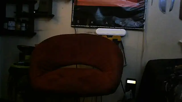 Show webcam de crassanova