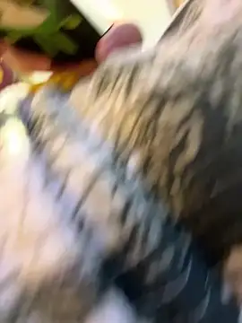Živý XXX chat yourkeer