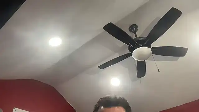 Show Webcam de bossdj2025