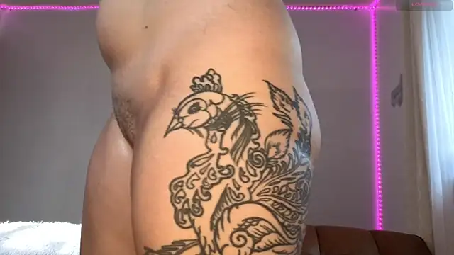 Show webcam de dustbunni0414