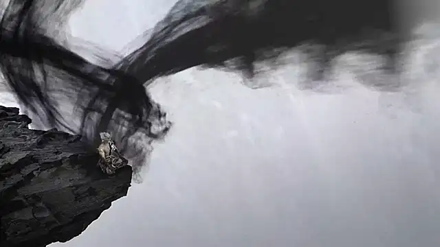 Agape-999n Webbikameraesitys