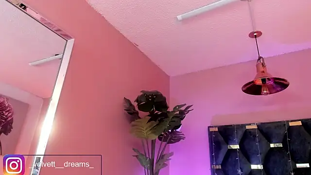 Velvet_Dreamss লাইভ XXX চ্যাট