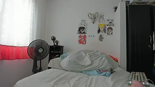 SonSett's Webcam Show