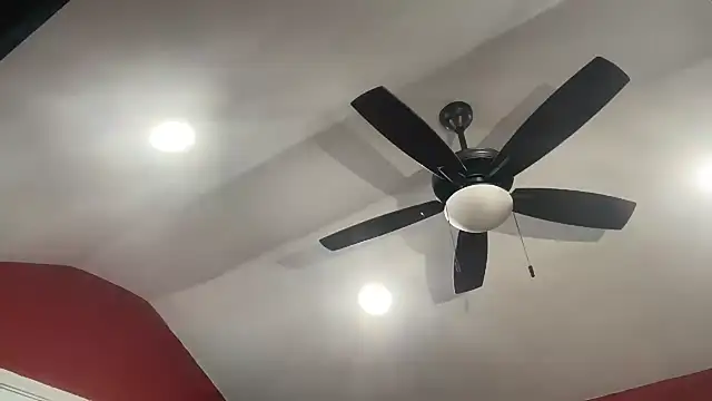 bossdj2025 Show in webcam