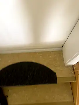 Hamsterdich 网络视讯表演