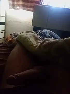 Phinhass' Webcam Show