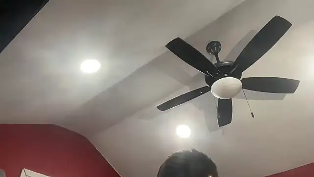 bossdj2025's Webcam Show