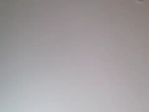 Show webcam de GOODIETIMES1