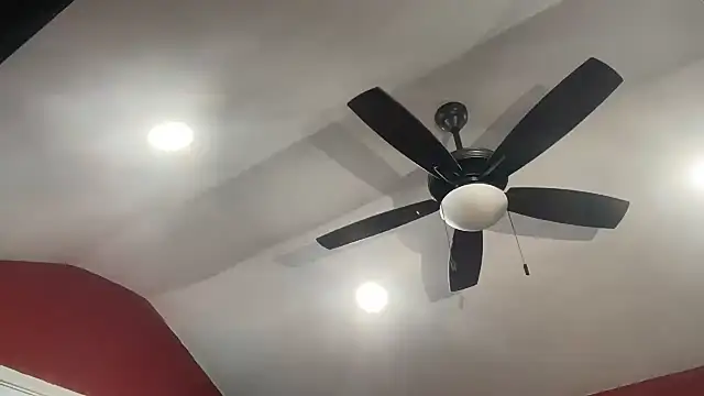 bossdj2025 Webcam Show