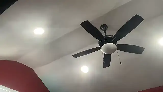 bossdj2025's Webcam Show