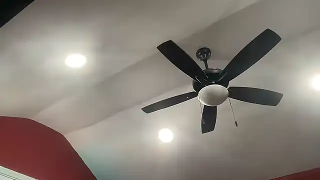 bossdj2025's Webcam Show