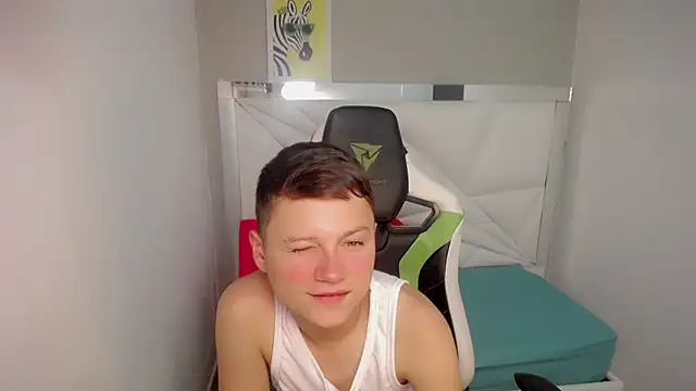 NYC_Bbyn Webbikameraesitys